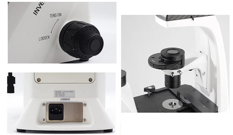 B G V UV fluorescencet excitations Trincoular Inverted Fluorescence Biological Microscopic