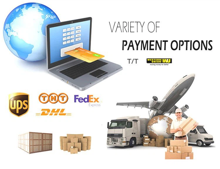 chongqing Scope shipment payment
